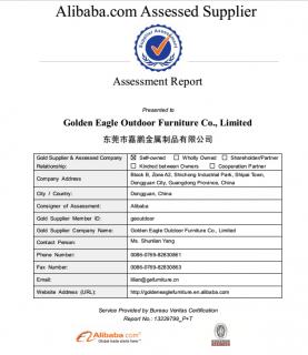 Assessment Report